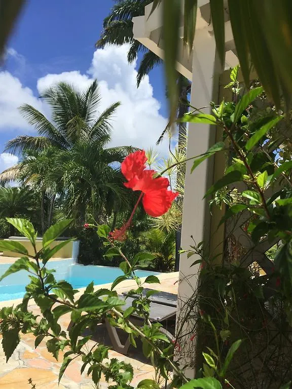 Hotel La Metisse Saint-Francois