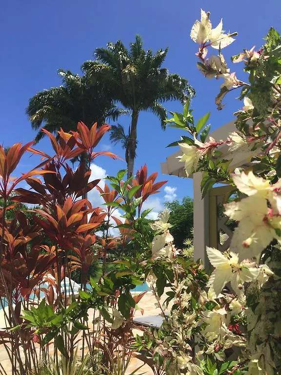 Hotel La Metisse Saint-Francois  Guadeloupe